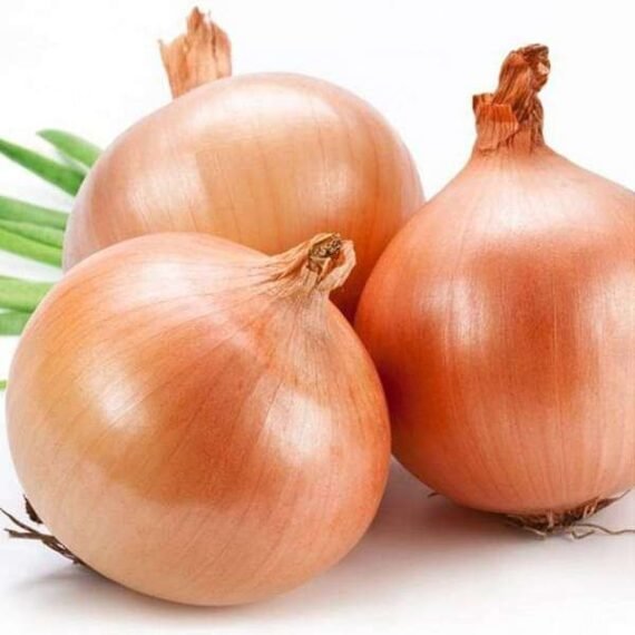 Onion Gawran - Desi Vegetable Seeds