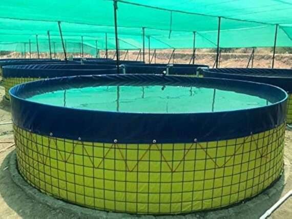PVC Biofloc Fish Tanks